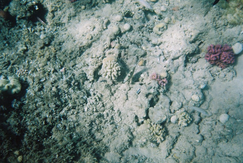 img027.jpg