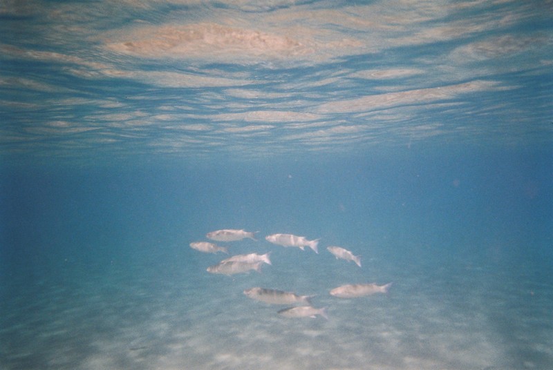 img028.jpg