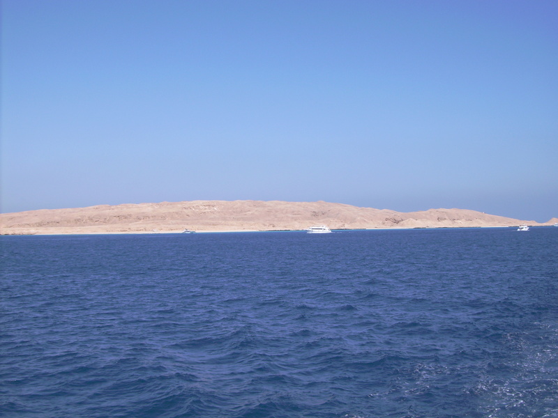 pict0100.jpg