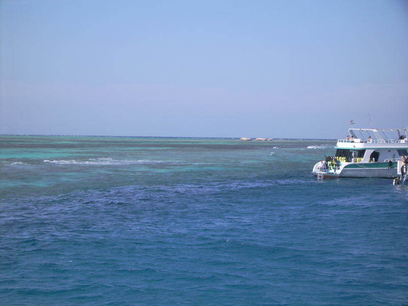 pict0139.jpg